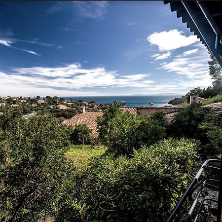 Petite Maison De Vacance Vue Mer Le Lavandou Zewnętrze zdjęcie
